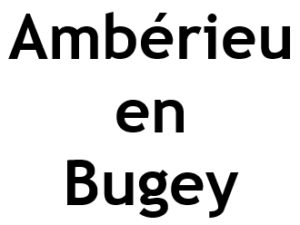 Ambérieu en Bugey 01500. I-P-W Référencement Création Promotion de site Web en télétravail partout en France