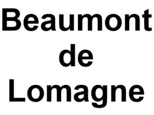 Beaumont de Lomagne 82500. I-P-W agence web Référencement, Création, Promotion de site Web en télétravail partout en France