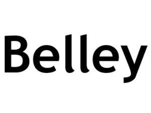 Belley 01300. I-P-W Référencement Création Promotion de site Web en télétravail partout en France