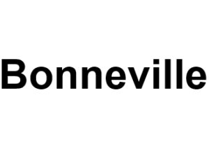 Bonneville 74130. I-P-W Référencement Création Promotion de site Web en télétravail partout en France