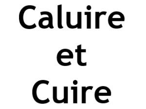 Caluire et Cuire 69300. I-P-W Référencement Création Promotion de site Web en télétravail partout en France