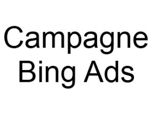 Campagnes Bing Ads Liens sponsorisés ou référencement payant