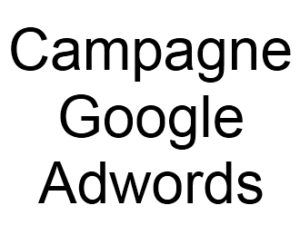 Campagne Google Adwords liens sponsorisés Publicitaires ou payants I-P-W agence web Référencement, Création, Promotion de site Web en télétravail partout en France