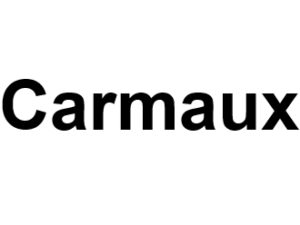 Carmaux 81400. I-P-W agence web Référencement, Création, Promotion de site Web en télétravail partout en France