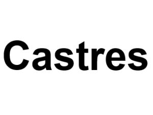 Castres 81100. I-P-W agence web Référencement, Création, Promotion de site Web en télétravail partout en France