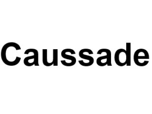Caussade 82300. I-P-W agence web Référencement, Création, Promotion de site Web en télétravail partout en France