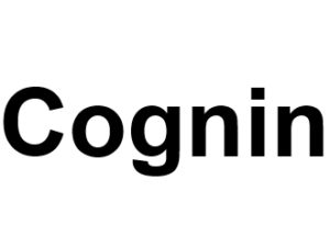 Cognin 73160. I-P-W Référencement Création Promotion de site Web en télétravail partout en France