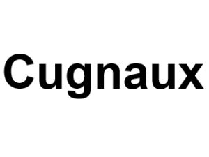 Cugnaux 31270. I-P-W Référencement, Création, Promotion de site Web en télétravail partout en France