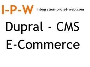 Référencement naturel Dupral CMS et E Commerce I-P-W agence web Marseille Aix et en télétravail partout en France