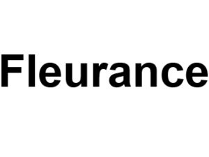 Fleurance 32500. I-P-W Référencement, Création, Promotion de site Web en télétravail partout en France