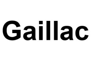 Gaillac 81600. I-P-W agence web Référencement, Création, Promotion de site Web en télétravail partout en France