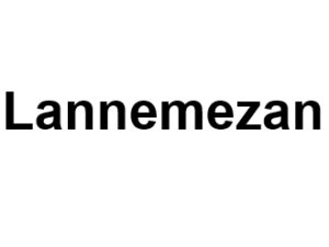 Lannemezan 65300. I-P-W agence web Référencement, Création, Promotion de site Web en télétravail partout en France