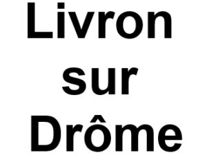 Livron sur Drôme 26250. I-P-W Référencement Création Promotion de site Web en télétravail partout en France