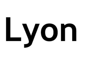 Lyon 69000. I-P-W Référencement Création Promotion de site Web en télétravail partout en France