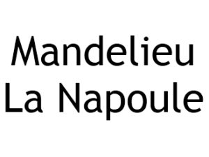 Mandelieu la Napoule 06210 I-P-W agence web Référencement, Création, Promotion de site Web en télétravail partout en France