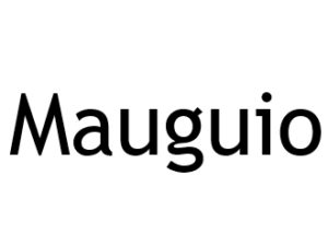 Mauguio 34130. I-P-W Référencement, Création, Promotion de site Web en télétravail partout en France