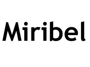 Miribel 01700. I-P-W Référencement Création Promotion de site Web en télétravail partout en France