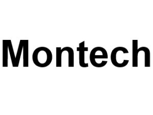 Montech 82700. I-P-W agence web Référencement, Création, Promotion de site Web en télétravail partout en France