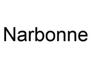 Narbonne 11100 I-P-W Référencement, Création, Promotion de site Web en télétravail partout en France