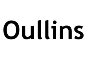 Oullins 69600. I-P-W Référencement Création Promotion de site Web en télétravail partout en France