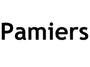 Pamiers 09100I-P-W Référencement, Création, Promotion de site Web en télétravail partout en France