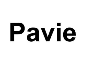 Pavie 32550. I-P-W Référencement, Création, Promotion de site Web en télétravail partout en France