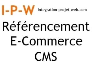 Référencement naturel de site E commerce CMS - SGC I-P-W agence web Marseille Aix en télétravail partout en France