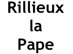 Rillieux la Pape 69140. I-P-W Référencement Création Promotion de site Web en télétravail partout en France