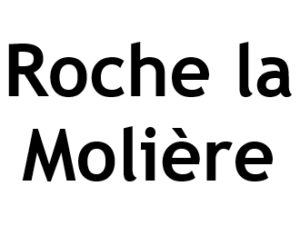Roche la Molière 42230. I-P-W Référencement Création Promotion de site Web en télétravail partout en France
