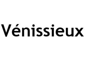 Vénissieux 69200. I-P-W Référencement Création Promotion de site Web en télétravail partout en France