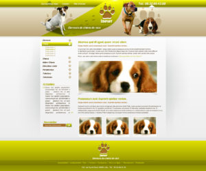 Création de Site Web Canin pour Chien Graphisme et site I-P-W agence Web Marseille Aix télétravail partout en France