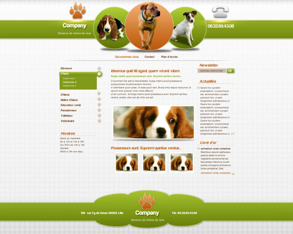 Création de Site Web Canin pour Chien Graphisme et site I-P-W agence Web Marseille Aix télétravail partout en France