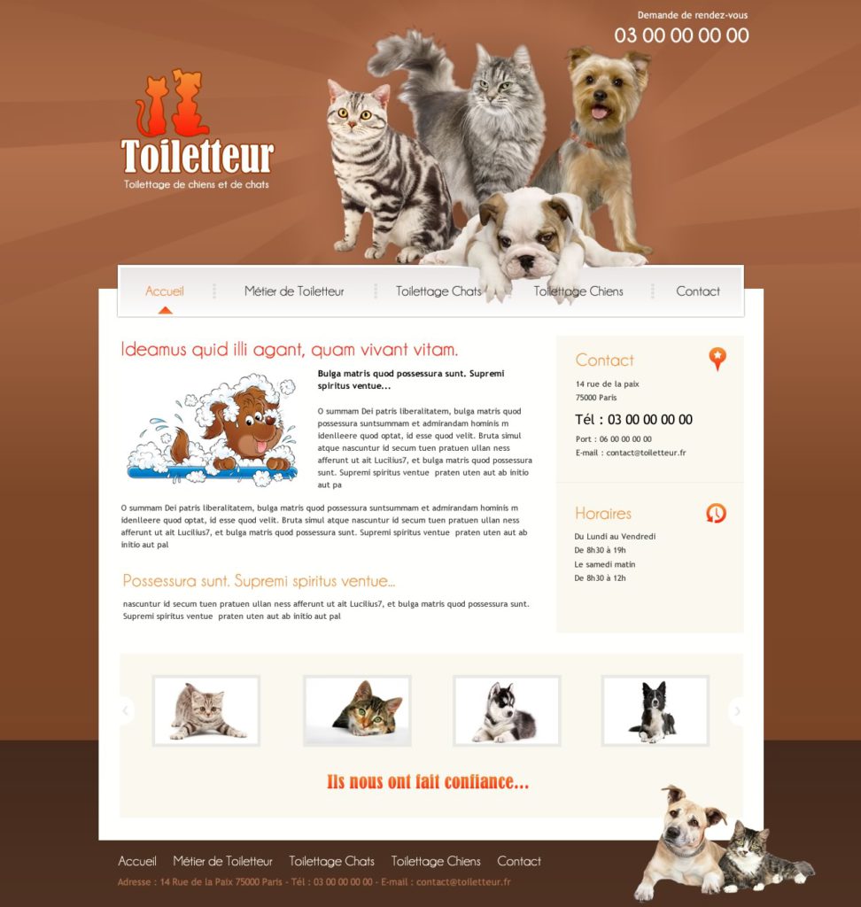 Création de Site web Animaux Animalerie graphisme et site I-P-W agence Web Marseille Aix télétravail partout en France