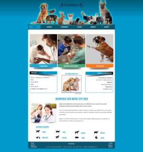 Création de Site Web Vétérinaire Soin aux Animaux Graphisme et site I-P-W agence Web Marseille Aix télétravail partout en France