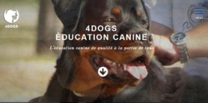 Dernier site web réalisé Education4dogs par I-P-W agence Marseille Aix