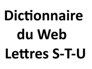 Dictionnaire du web Lettres S T U L'agence Web I-P-W Marseille Aix en Provence en Télétravail partout en France